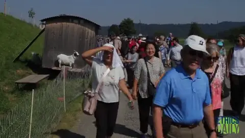 Participants from ABCC Women Deptt. at #BWA18 Zurich